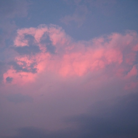 Meet your Posher, Sophie - Picture 1 of 1